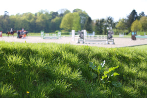 STALL & TRAINING